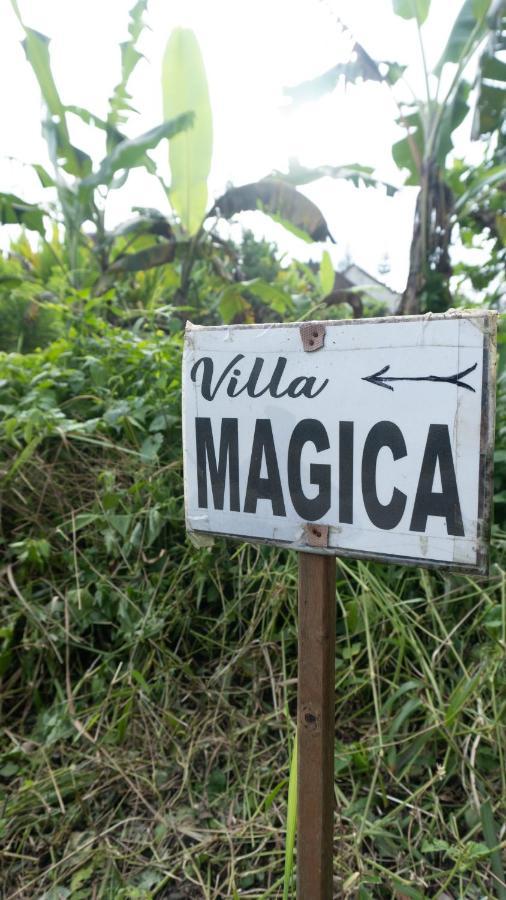 Villa magica Ubud Esterno foto