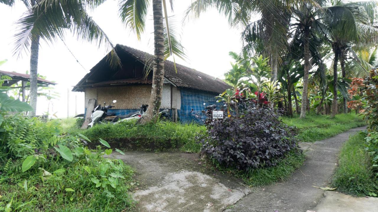 Villa magica Ubud Esterno foto