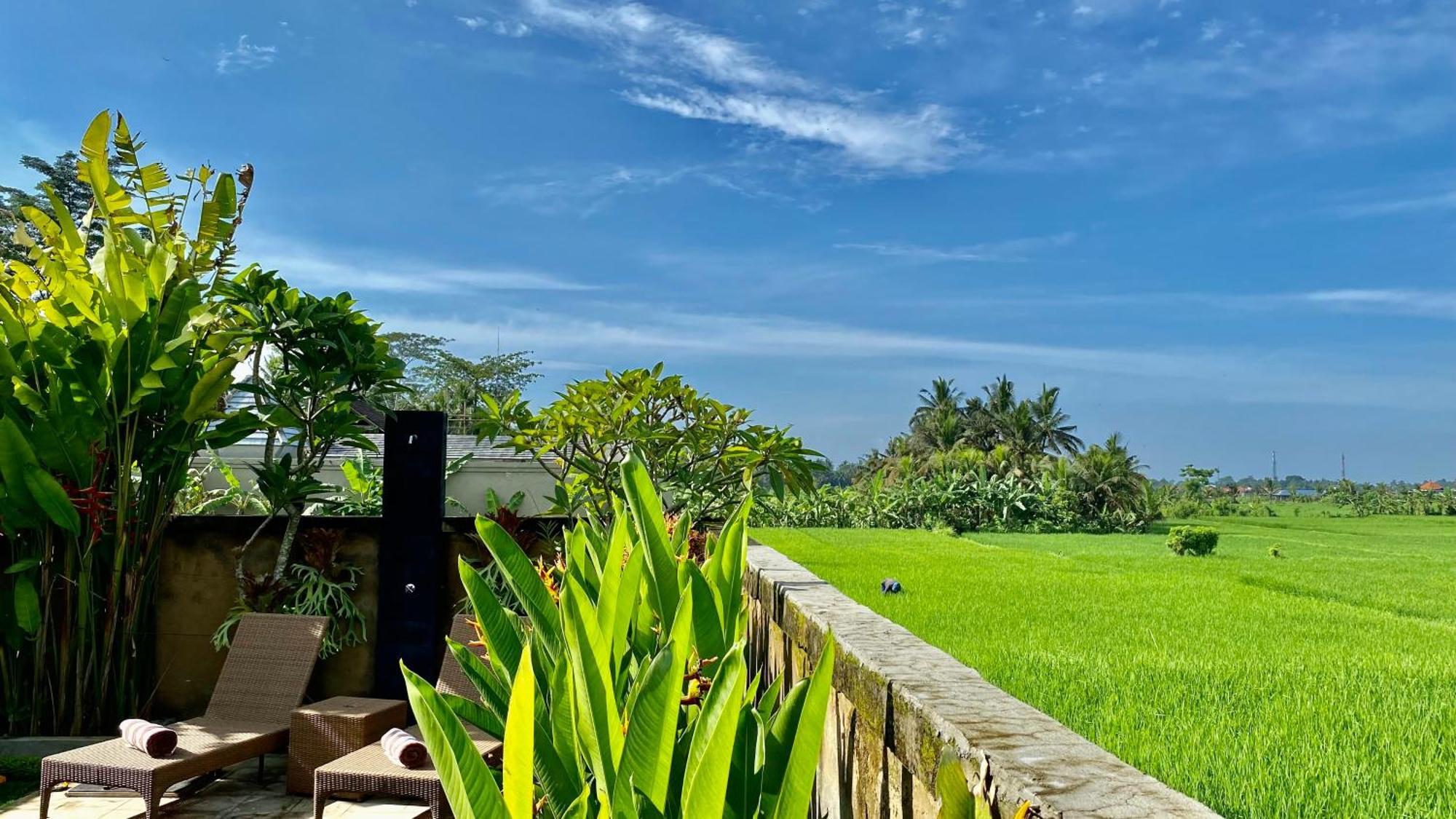 Villa magica Ubud Esterno foto