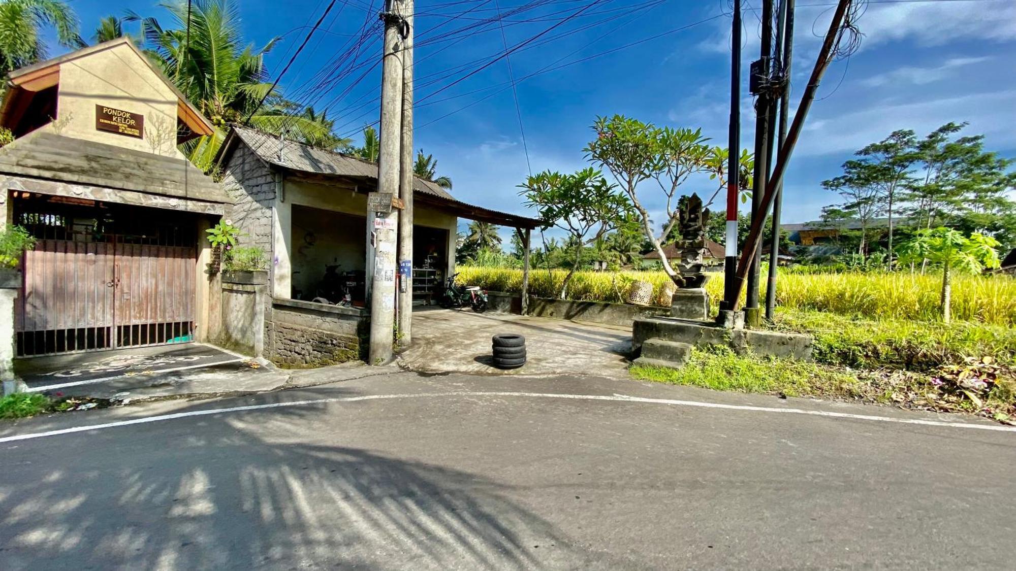 Villa magica Ubud Esterno foto