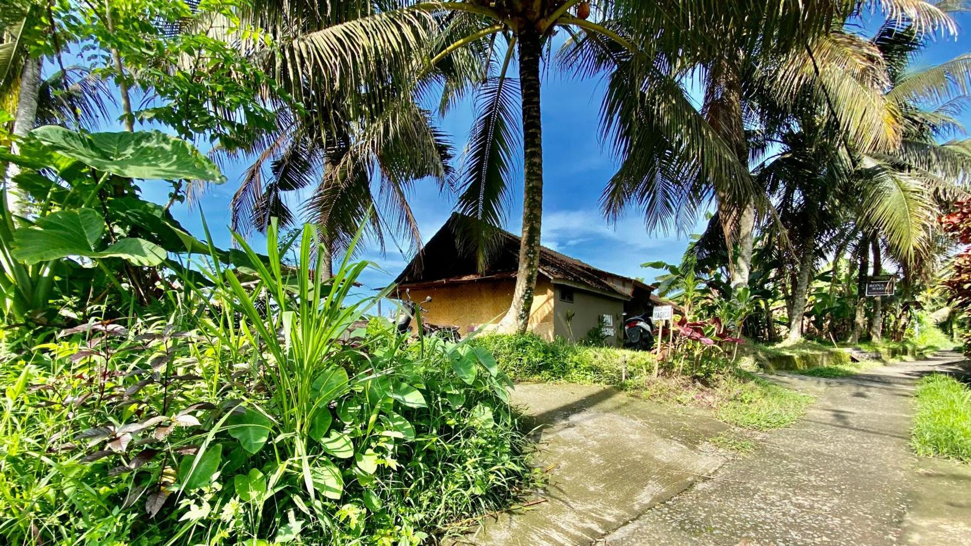 Villa magica Ubud Esterno foto