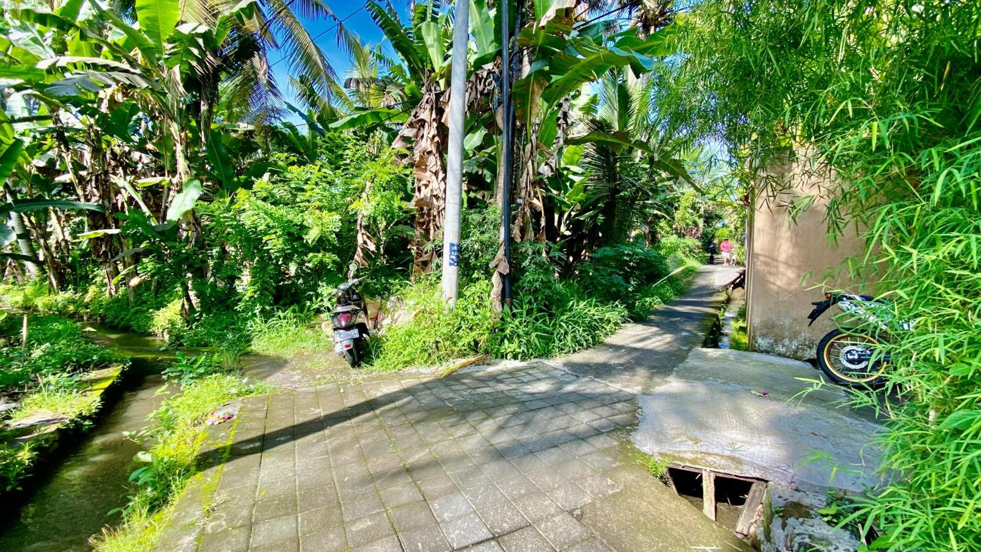 Villa magica Ubud Esterno foto