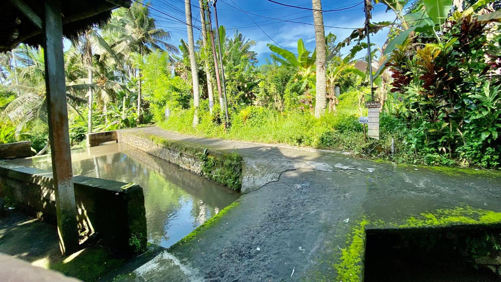 Villa magica Ubud Esterno foto
